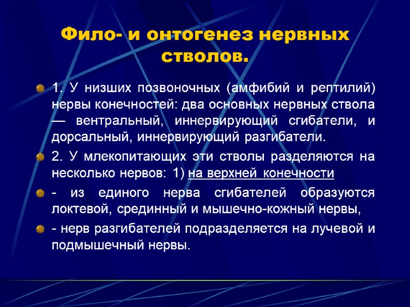 Фило- и онтогенез нервных стволов. 1. У низших позвоночных (амфибий и рептилий) нервы конечностей: